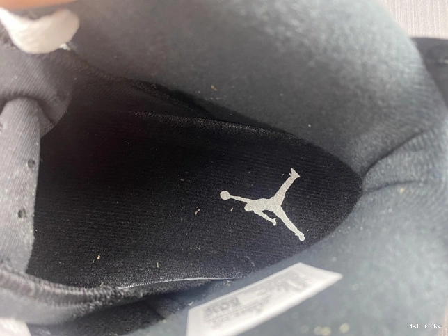 384664-101 6 Jordan Oreo Retro 0805